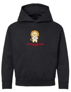 Youth:  Special Delivery Lion Hoodie